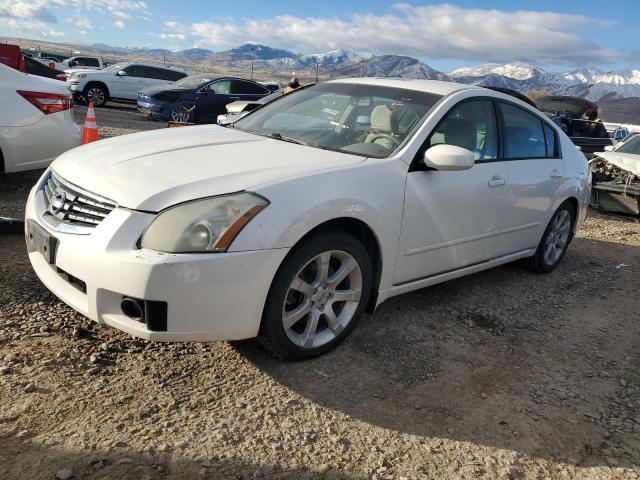 NISSAN MAXIMA SE 2008 1n4ba41e28c801181