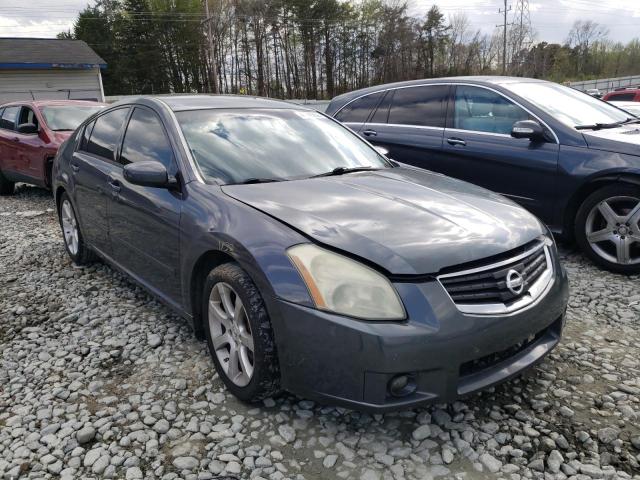 NISSAN MAXIMA SE 2008 1n4ba41e28c830079