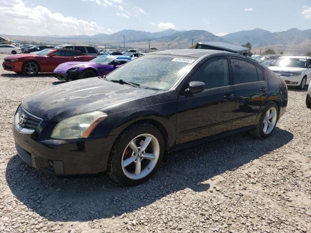 NISSAN MAXIMA 2008 1n4ba41e28c832723