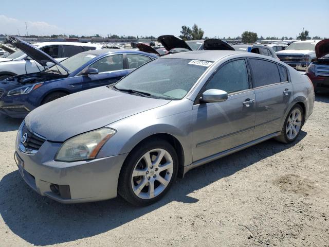 NISSAN MAXIMA SE 2008 1n4ba41e28c833824