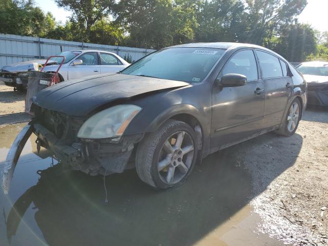 NISSAN MAXIMA SE 2004 1n4ba41e34c816928