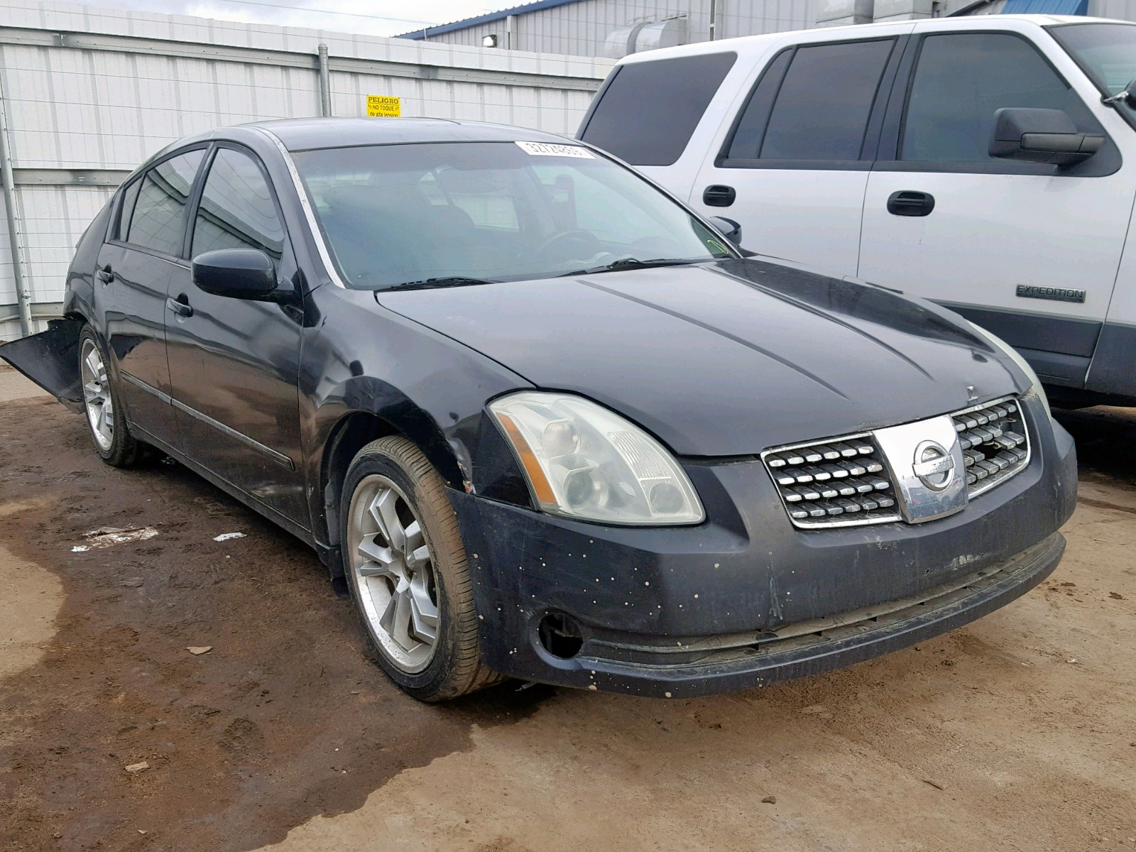 NISSAN MAXIMA SE 2004 1n4ba41e34c862033