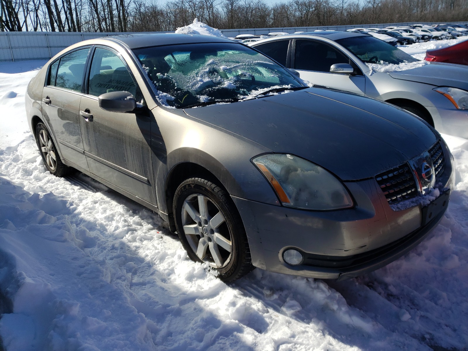 NISSAN MAXIMA SE 2004 1n4ba41e34c866695