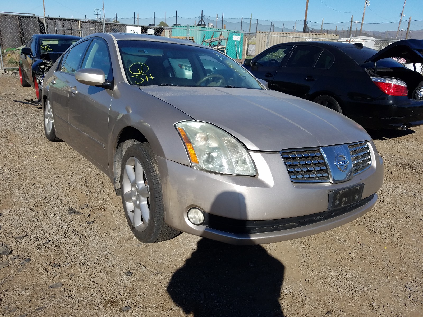 NISSAN MAXIMA SE 2004 1n4ba41e34c900750