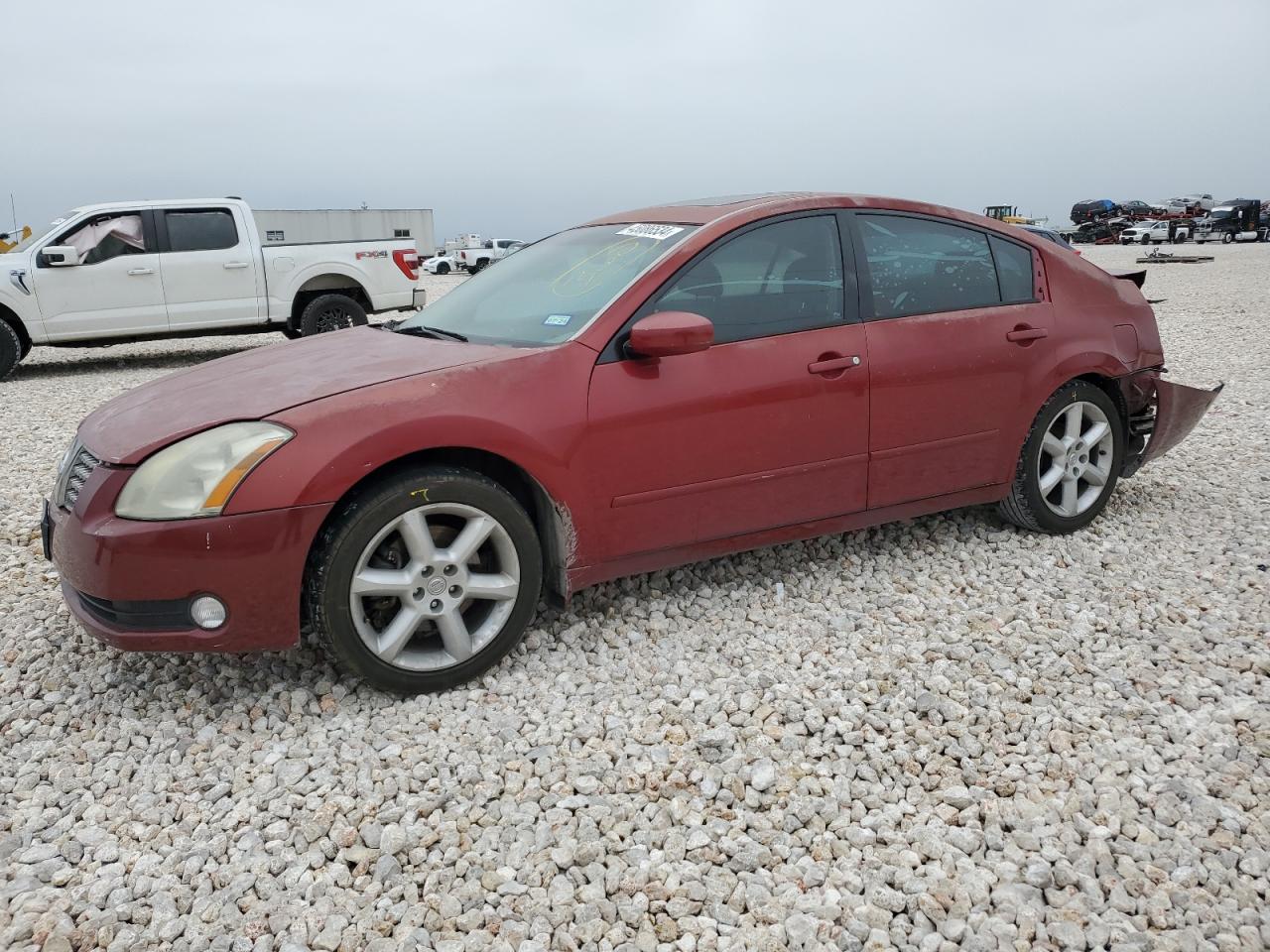 NISSAN MAXIMA 2005 1n4ba41e35c808930