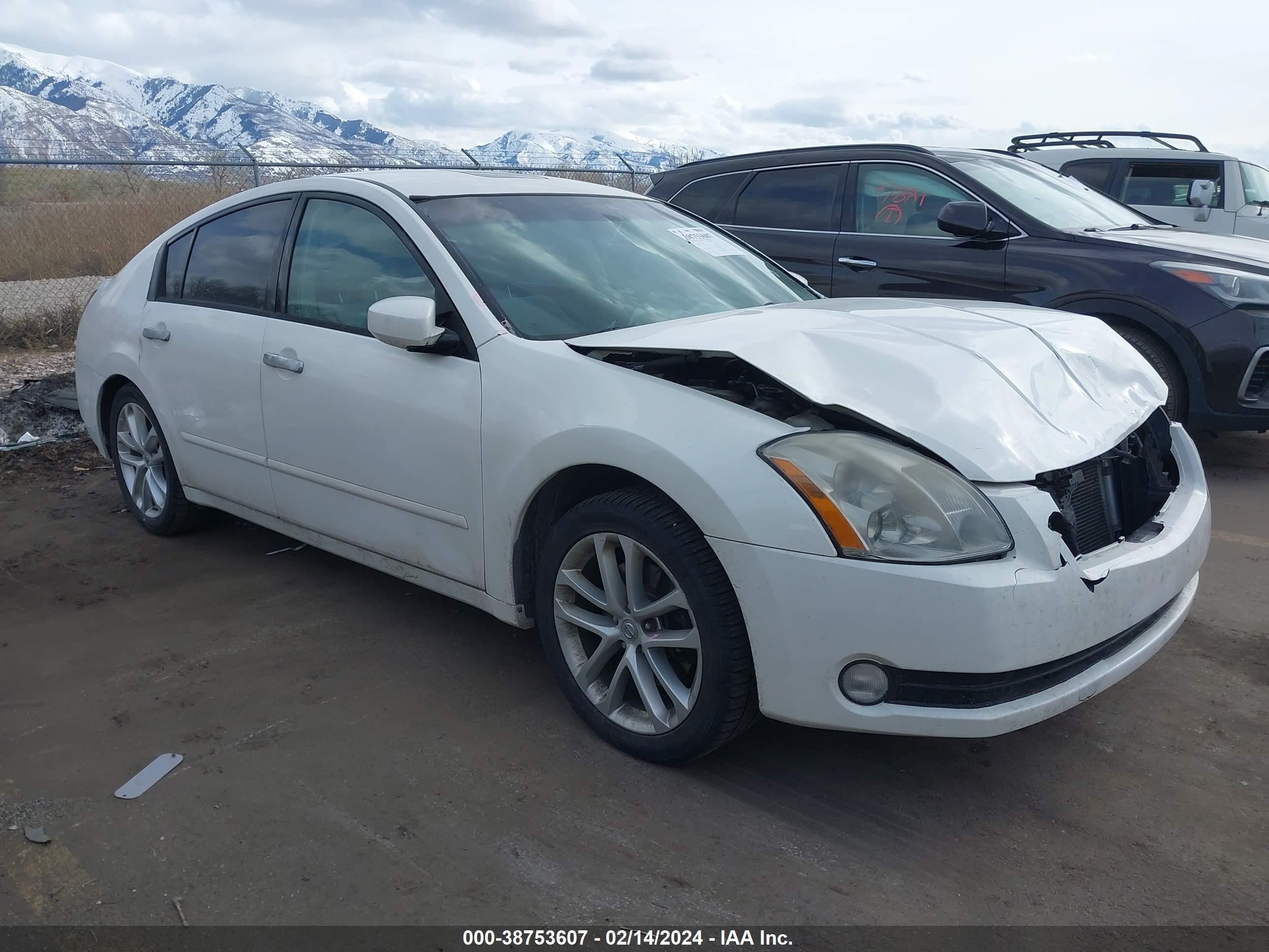 NISSAN MAXIMA 2005 1n4ba41e35c818468