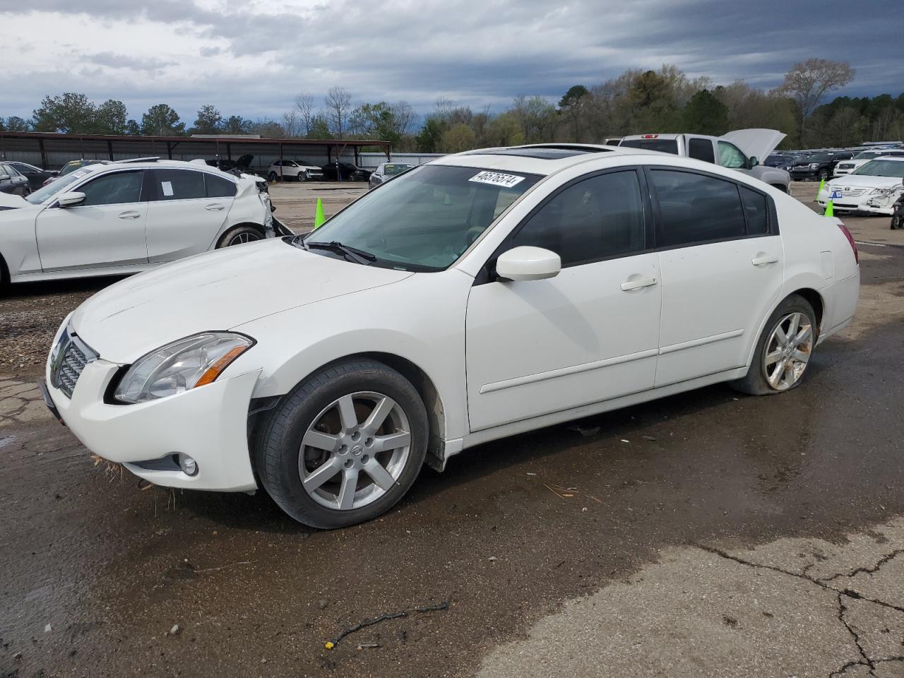 NISSAN MAXIMA 2005 1n4ba41e35c826862