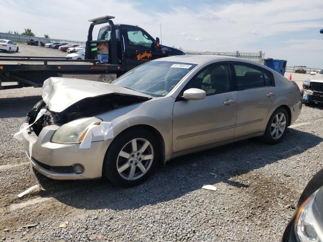 NISSAN MAXIMA 2005 1n4ba41e35c842169