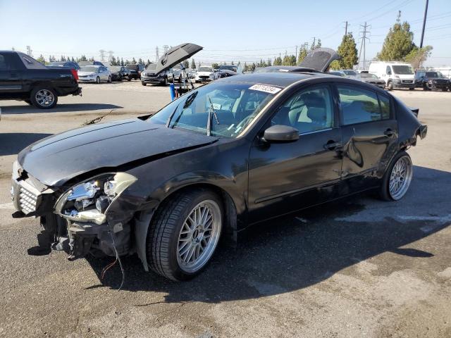 NISSAN MAXIMA 2005 1n4ba41e35c854998