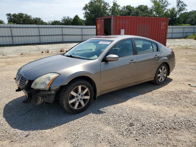 NISSAN MAXIMA SE 2006 1n4ba41e36c835420