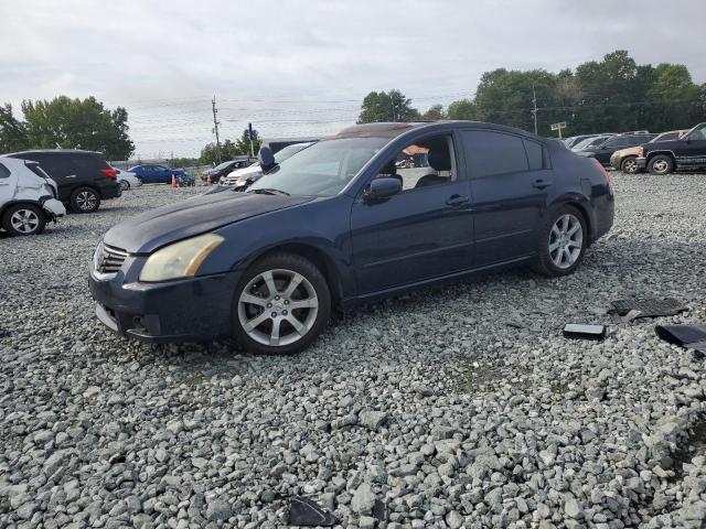 NISSAN MAXIMA SE 2008 1n4ba41e38c810567