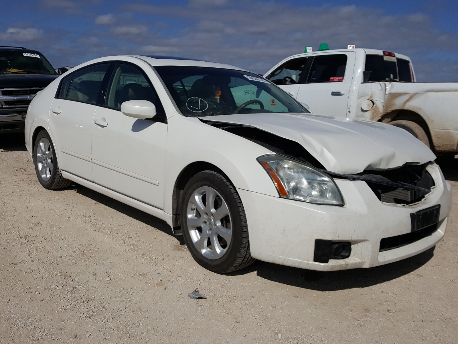 NISSAN MAXIMA SE 2008 1n4ba41e38c835839