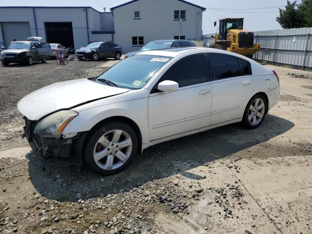 NISSAN MAXIMA SE 2004 1n4ba41e44c825508