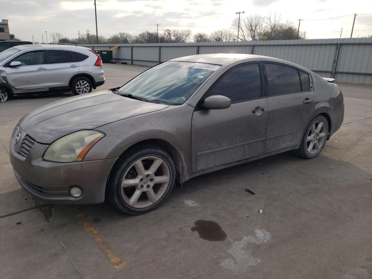 NISSAN MAXIMA 2004 1n4ba41e44c825556