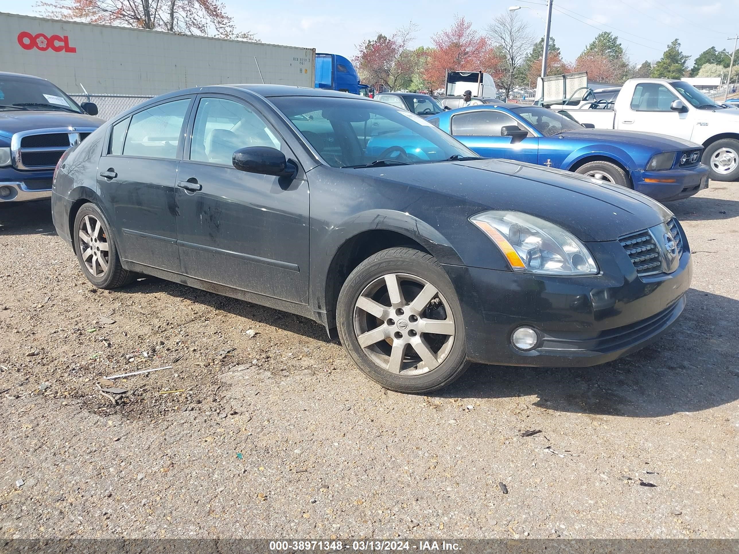 NISSAN MAXIMA 2004 1n4ba41e44c828229