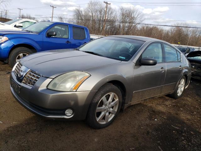 NISSAN MAXIMA 2004 1n4ba41e44c830790