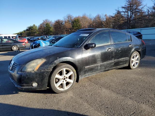 NISSAN MAXIMA 2004 1n4ba41e44c838310