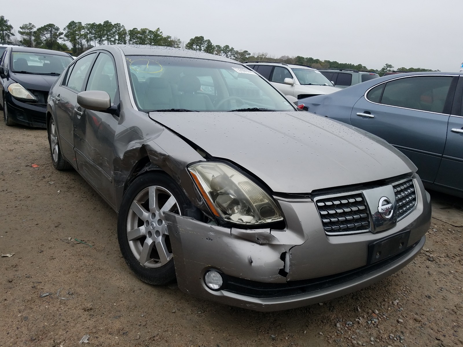 NISSAN MAXIMA SE 2004 1n4ba41e44c857505