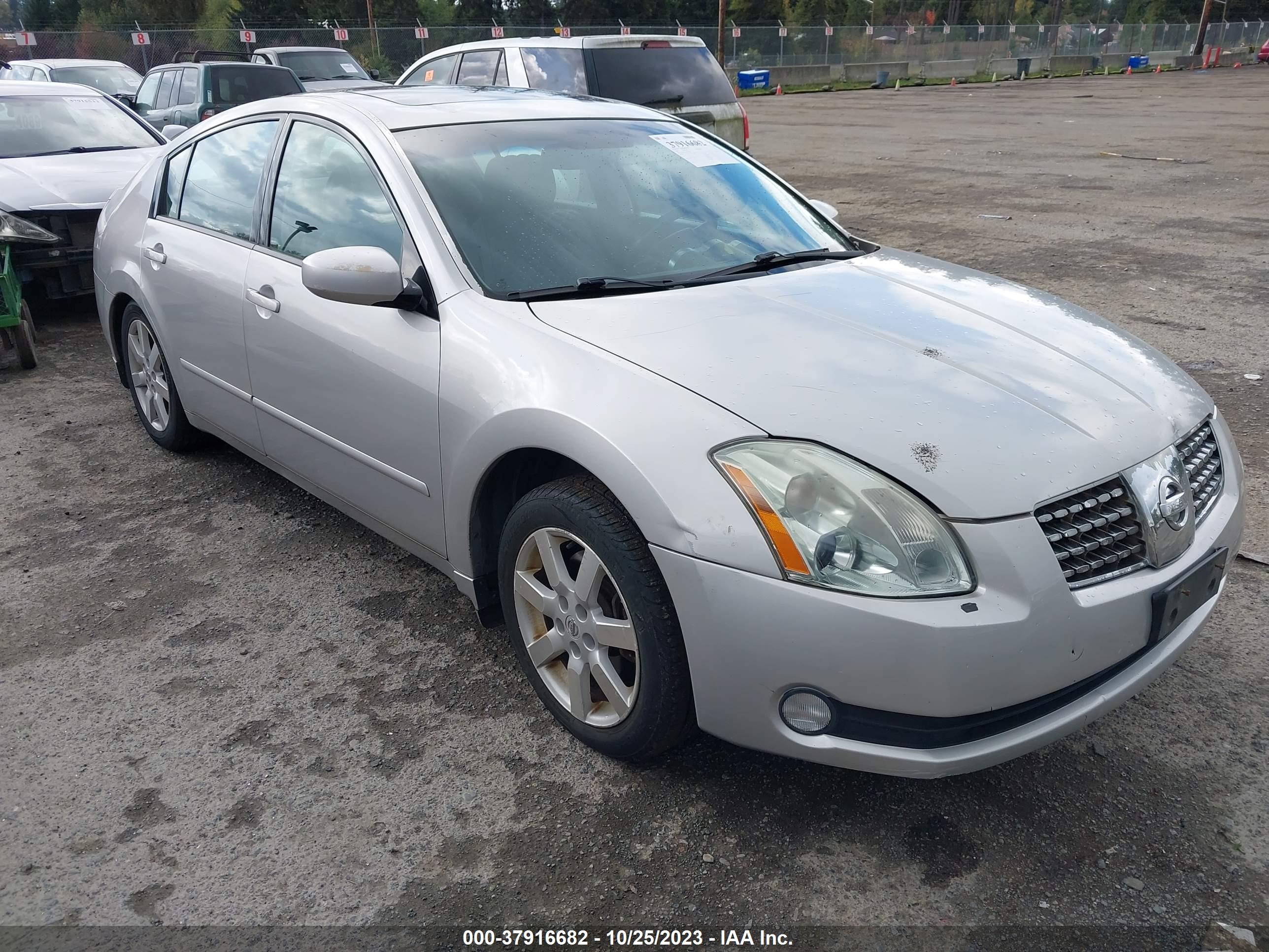 NISSAN MAXIMA 2004 1n4ba41e44c872084