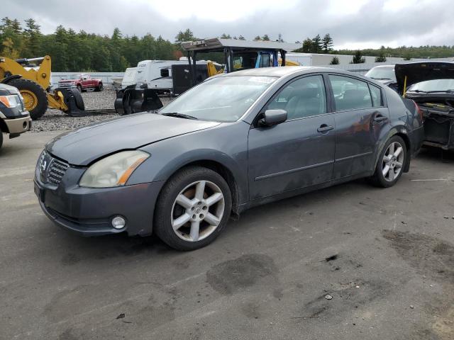 NISSAN MAXIMA 2004 1n4ba41e44c919906