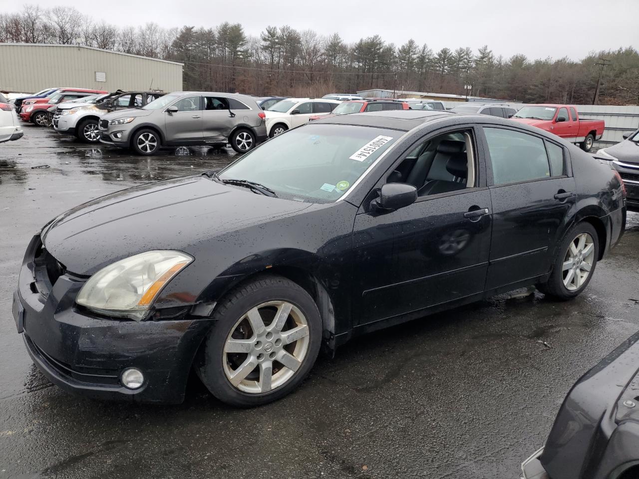 NISSAN MAXIMA 2004 1n4ba41e44c927942