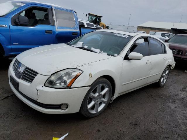 NISSAN MAXIMA 2005 1n4ba41e45c804546