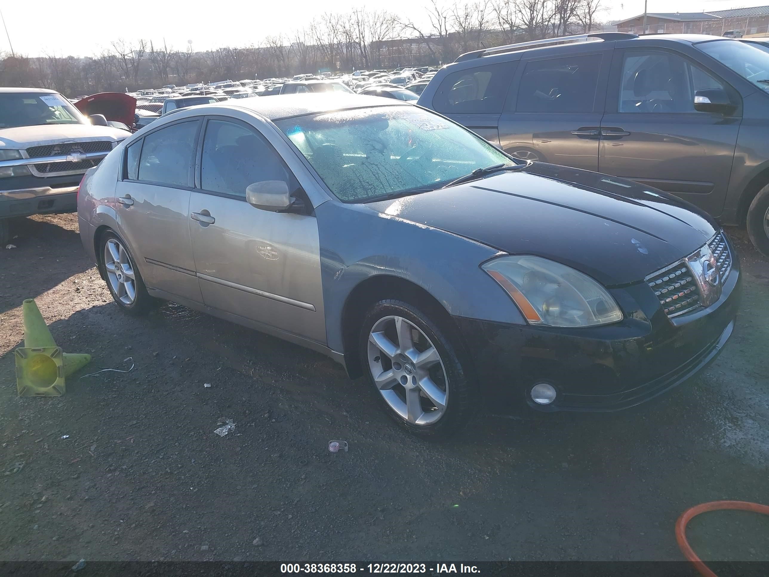 NISSAN MAXIMA 2005 1n4ba41e45c827101