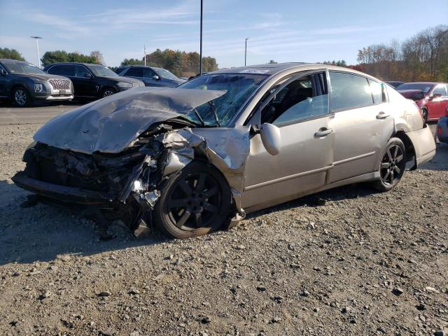 NISSAN MAXIMA SE 2005 1n4ba41e45c842438