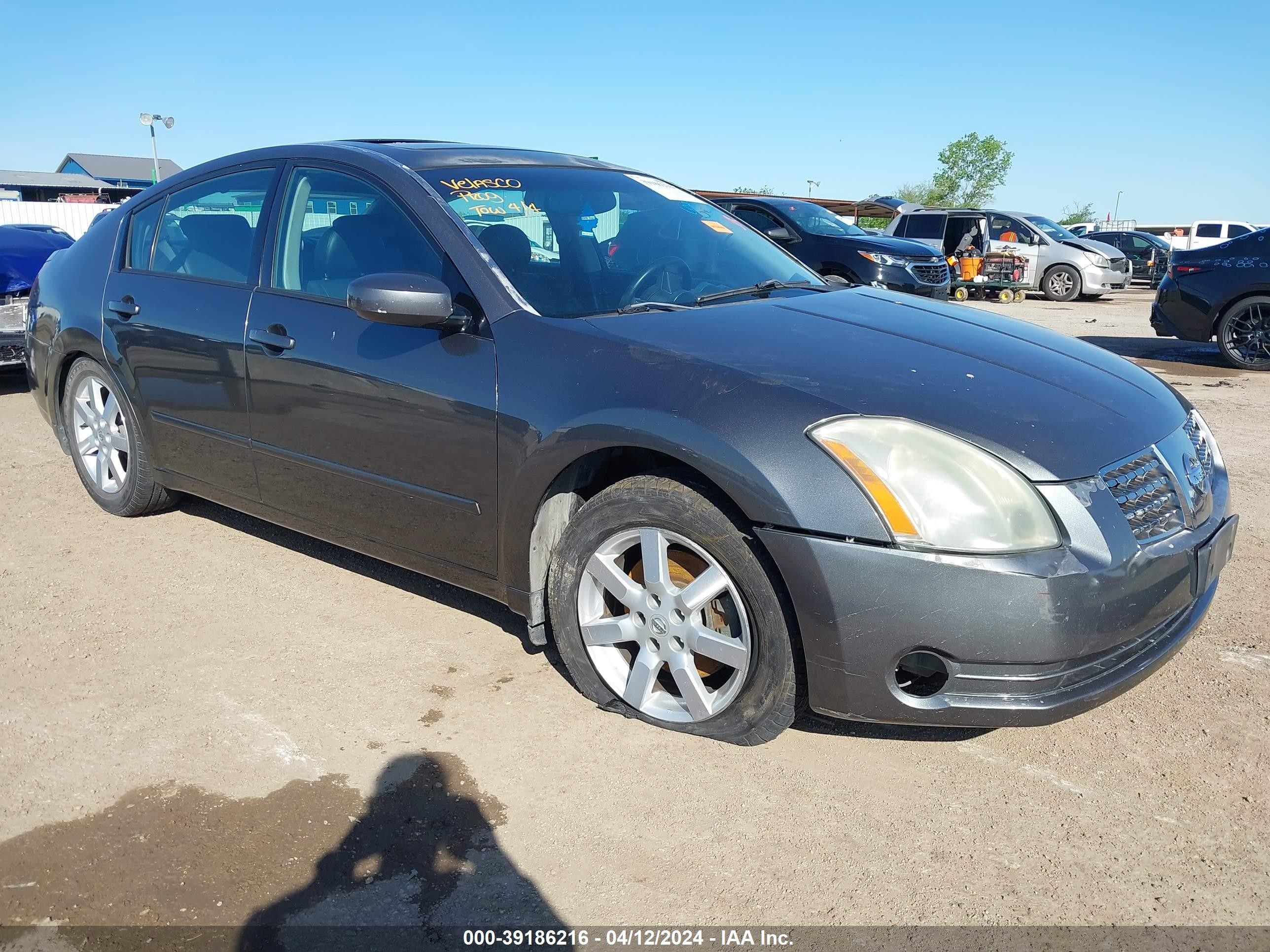 NISSAN MAXIMA 2005 1n4ba41e45c846702