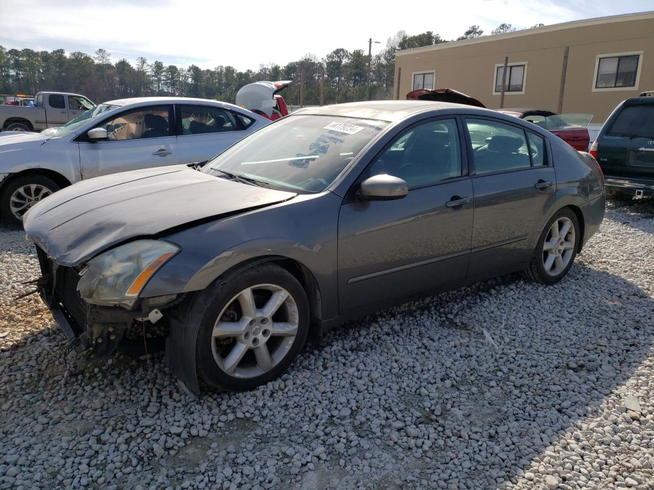 NISSAN MAXIMA 2005 1n4ba41e45c868960