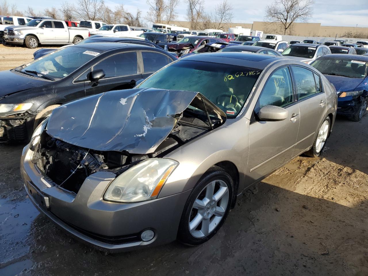 NISSAN MAXIMA 2005 1n4ba41e45c878534