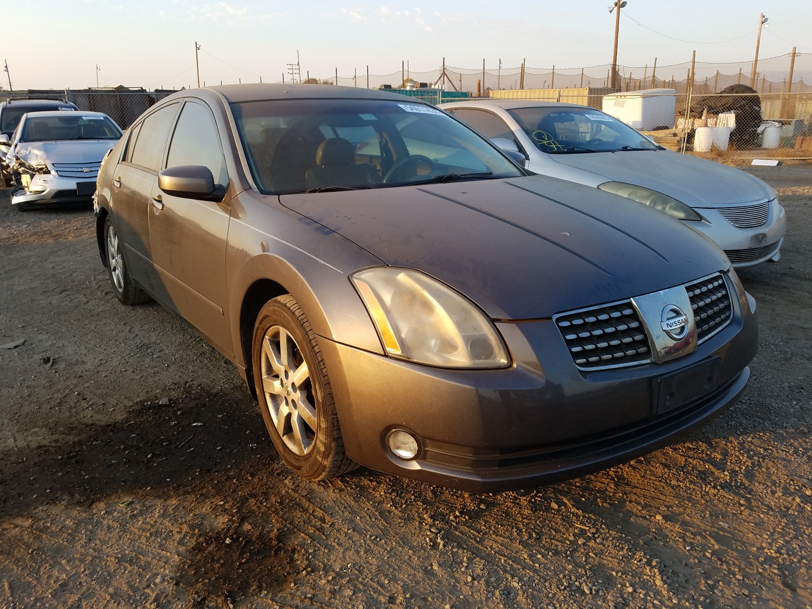 NISSAN MAXIMA SE 2006 1n4ba41e46c817458