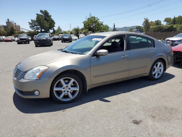 NISSAN MAXIMA 2006 1n4ba41e46c830369