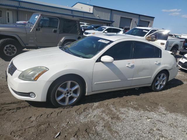 NISSAN MAXIMA SE 2006 1n4ba41e46c834230