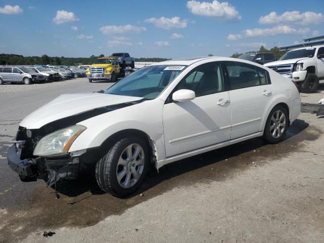 NISSAN MAXIMA SE 2007 1n4ba41e47c846167