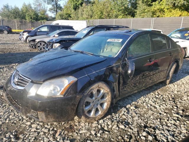 NISSAN MAXIMA SE 2008 1n4ba41e48c809136