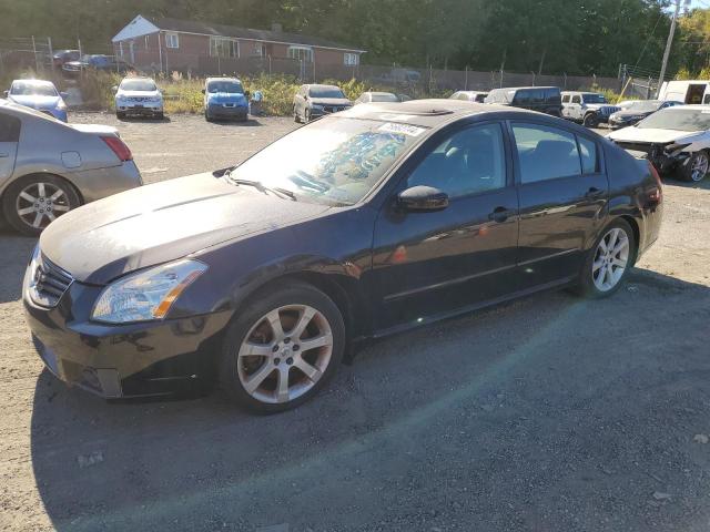 NISSAN MAXIMA SE 2008 1n4ba41e48c827541