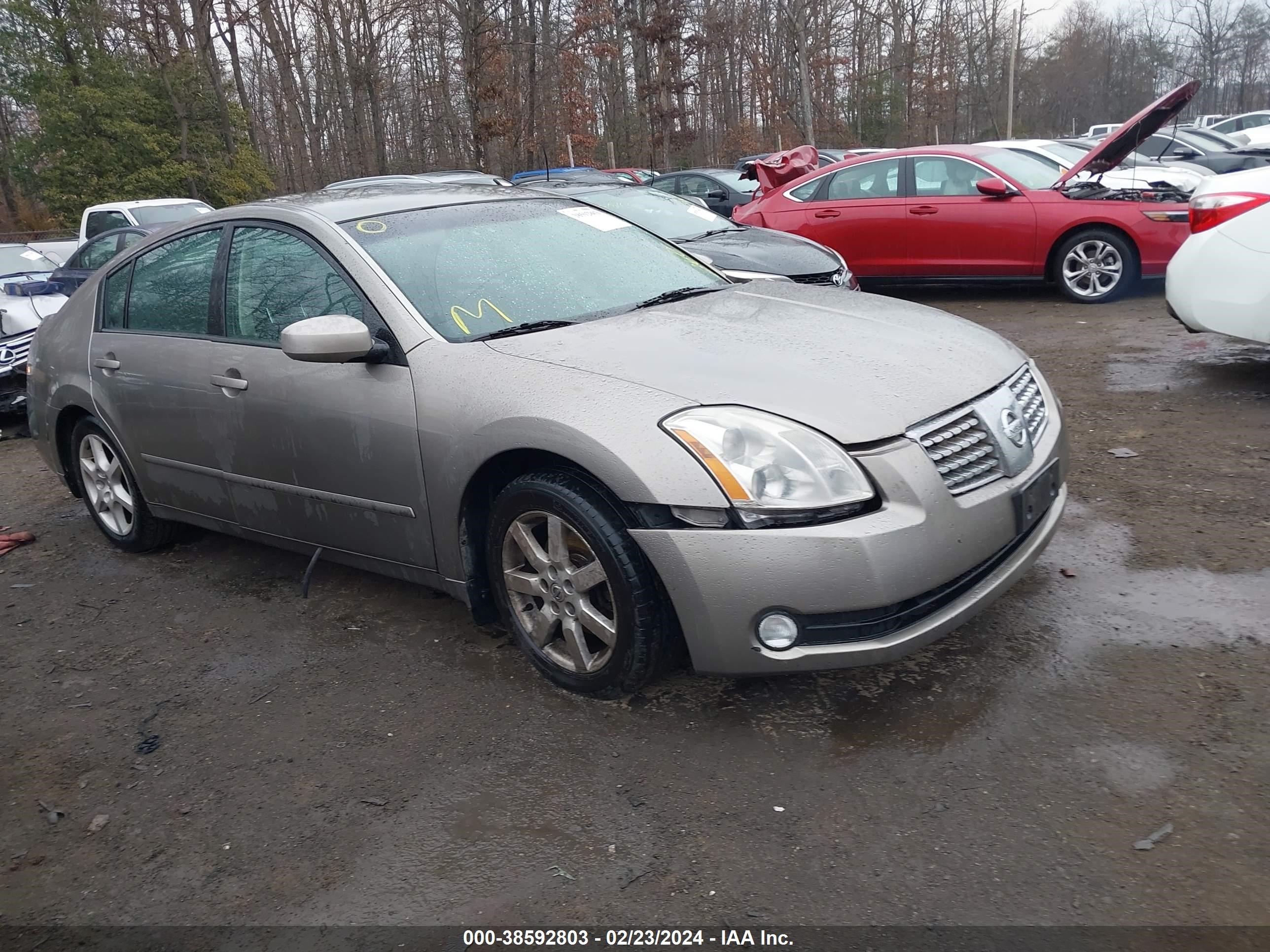 NISSAN MAXIMA 2004 1n4ba41e54c826960