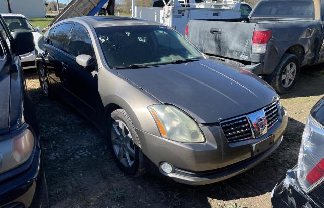 NISSAN MAXIMA 2004 1n4ba41e54c867637