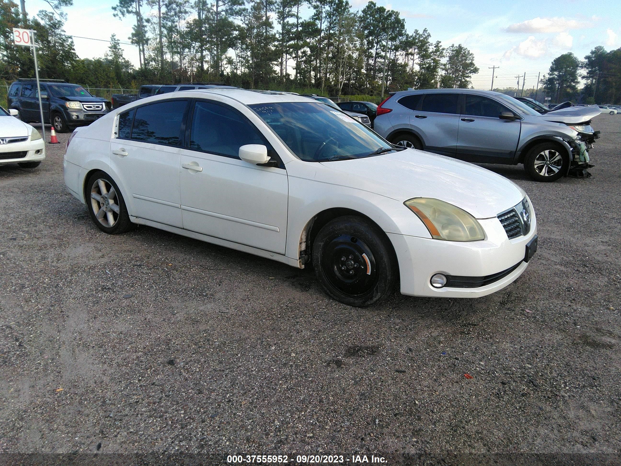 NISSAN MAXIMA 2004 1n4ba41e54c875186