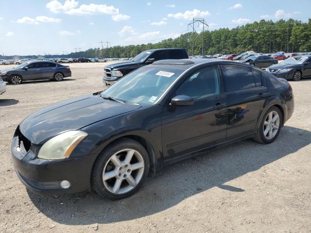 NISSAN MAXIMA SE 2004 1n4ba41e54c883241