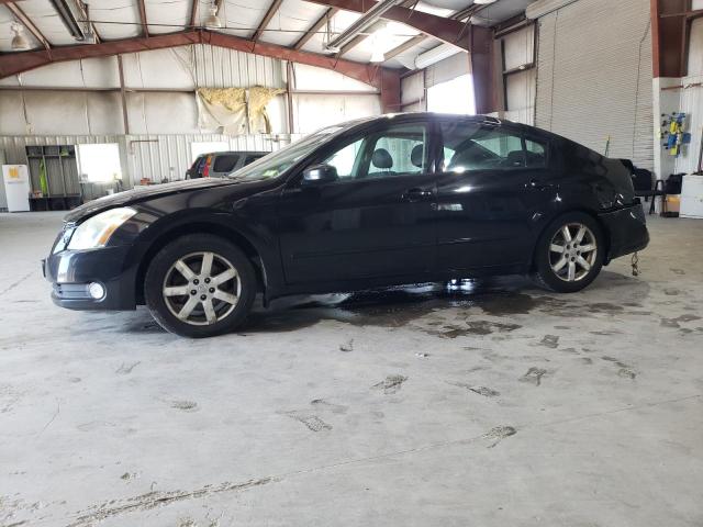 NISSAN MAXIMA 2004 1n4ba41e54c903780