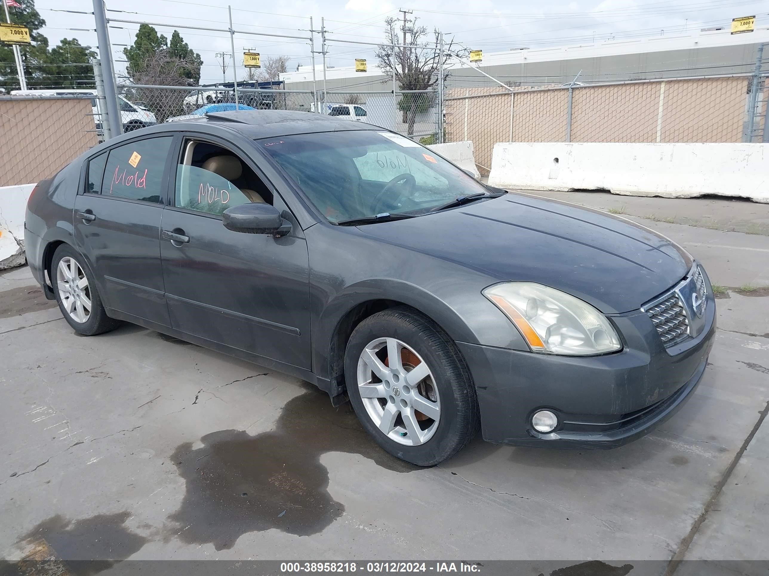 NISSAN MAXIMA 2004 1n4ba41e54c919641