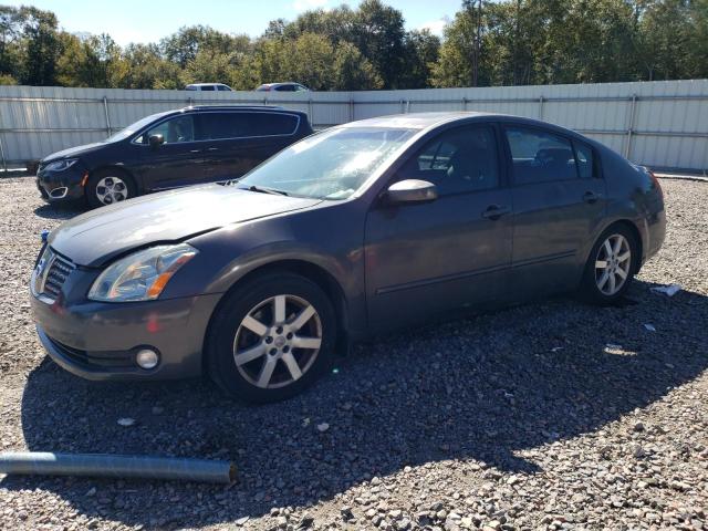 NISSAN MAXIMA SE 2004 1n4ba41e54c926590