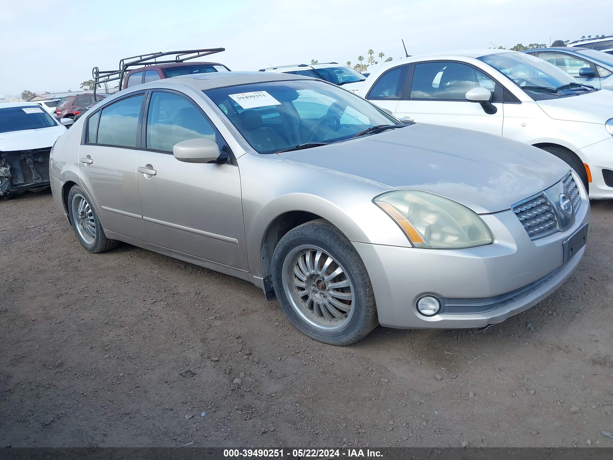 NISSAN MAXIMA 2005 1n4ba41e55c853237