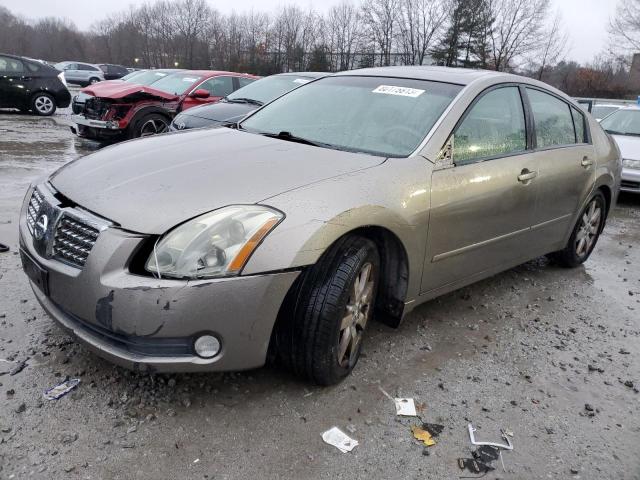 NISSAN MAXIMA 2006 1n4ba41e56c833068