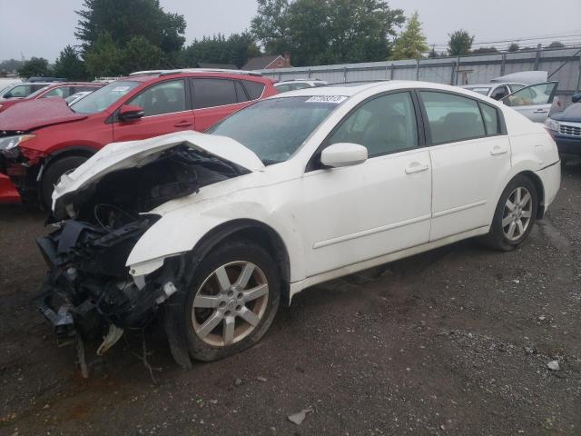 NISSAN MAXIMA 2006 1n4ba41e56c851599