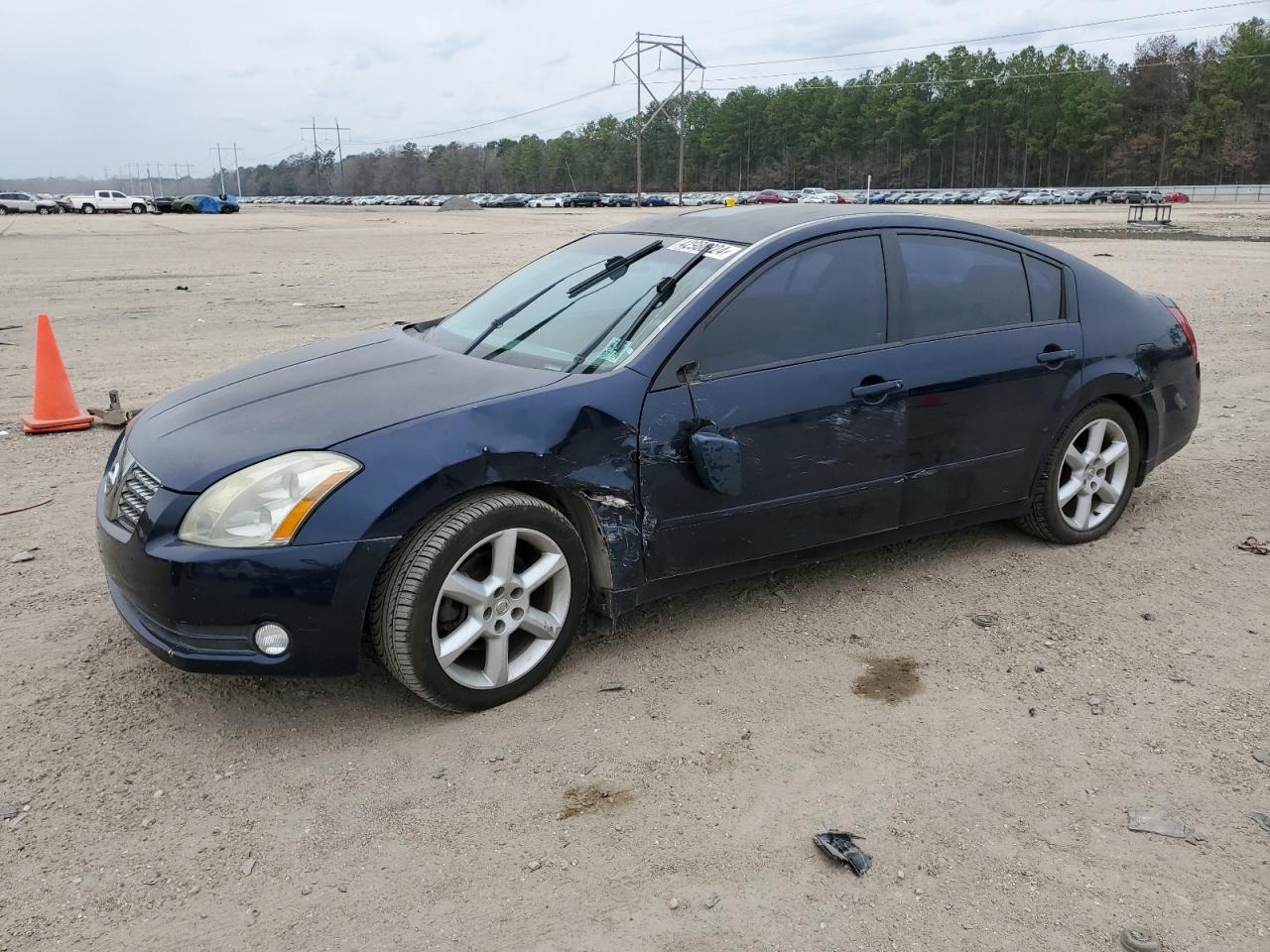 NISSAN MAXIMA 2006 1n4ba41e56c852817