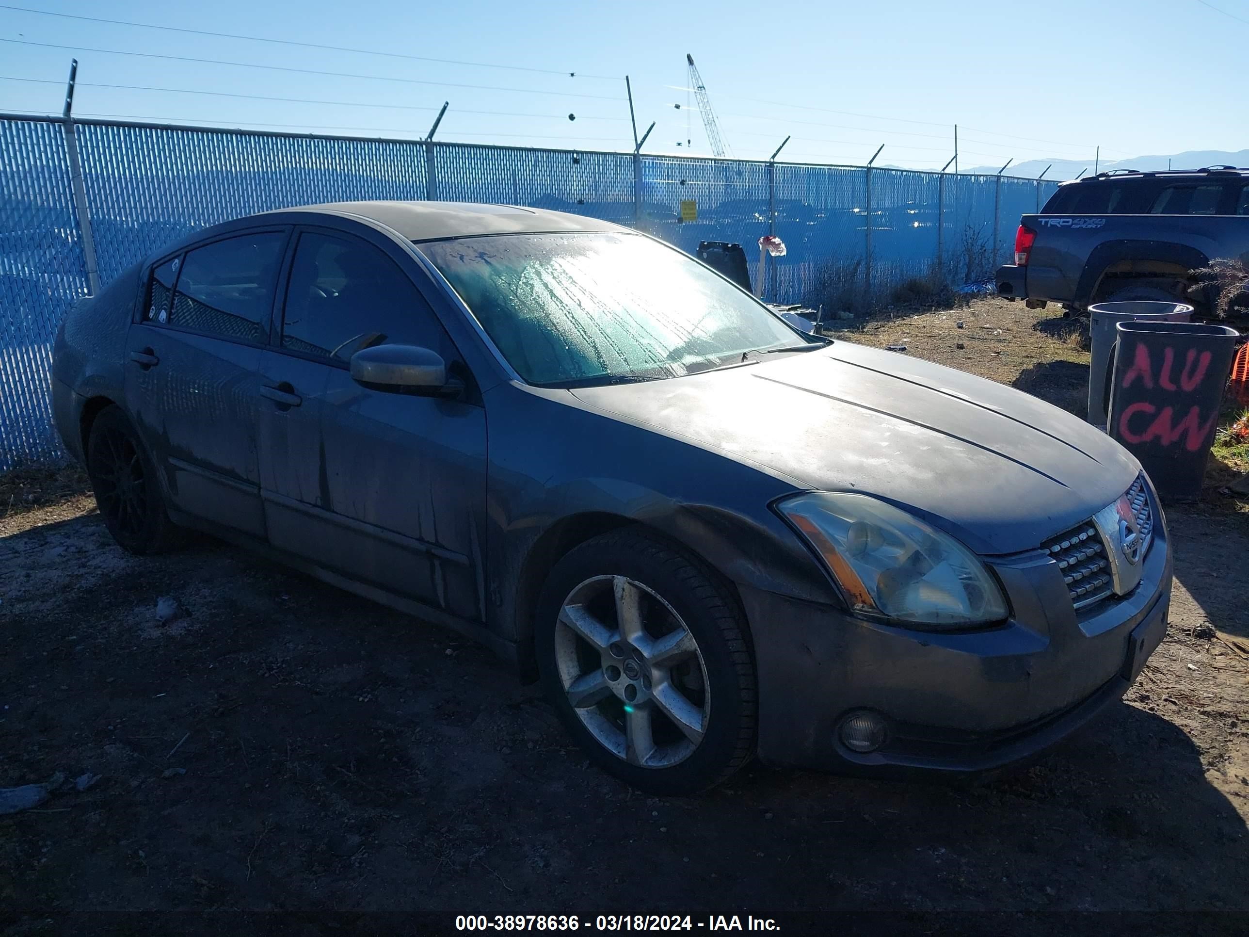 NISSAN MAXIMA 2006 1n4ba41e56c866619