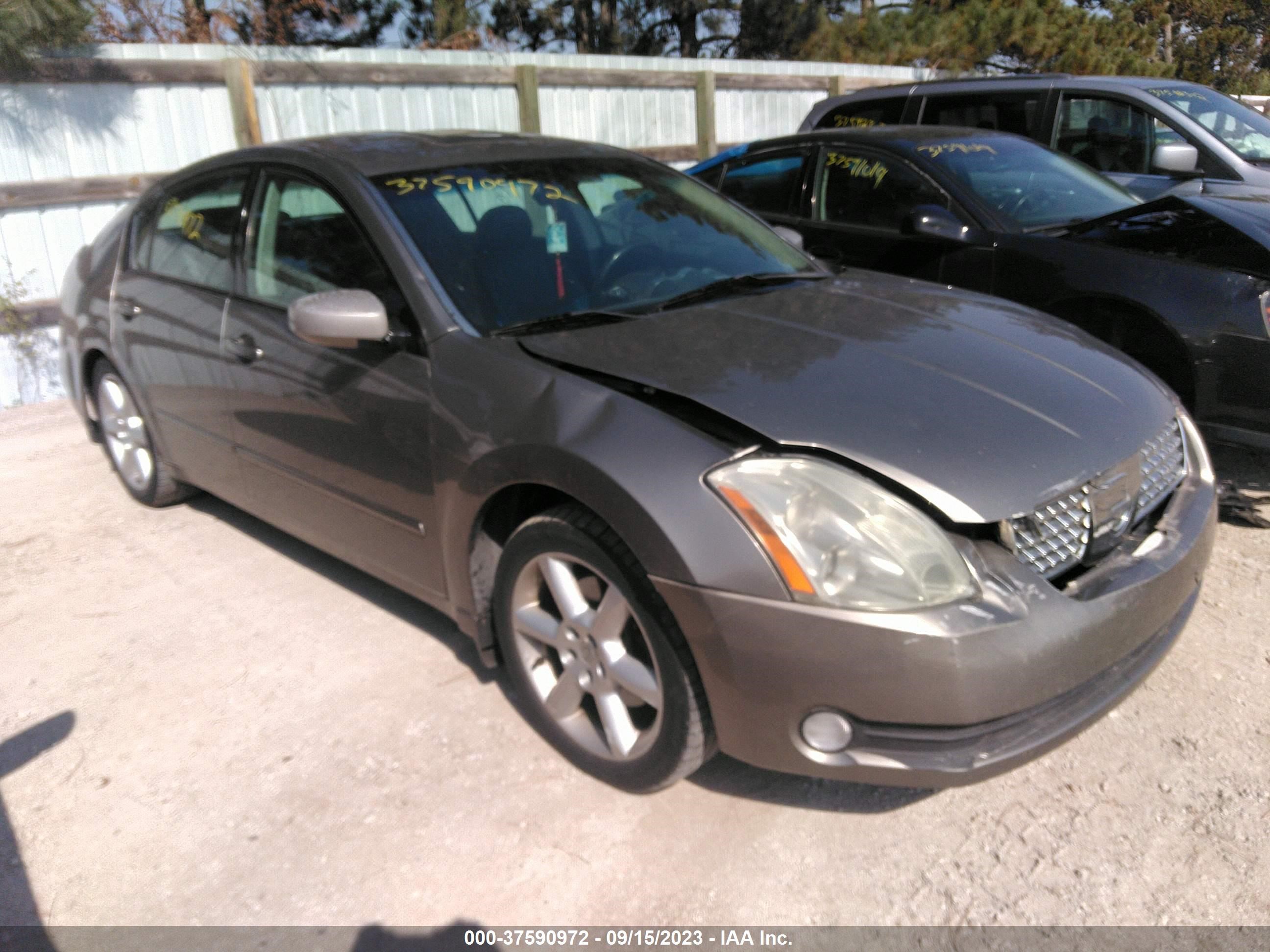 NISSAN MAXIMA 2004 1n4ba41e64c814526